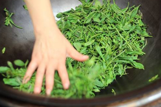 炒青綠茶與綠茶的區(qū)別，烘青和炒青哪個(gè)好喝？