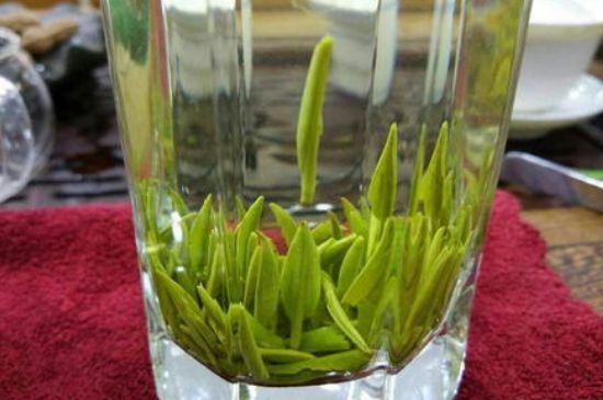 雀舌有一股青草味，雀舌為什么有青草味？