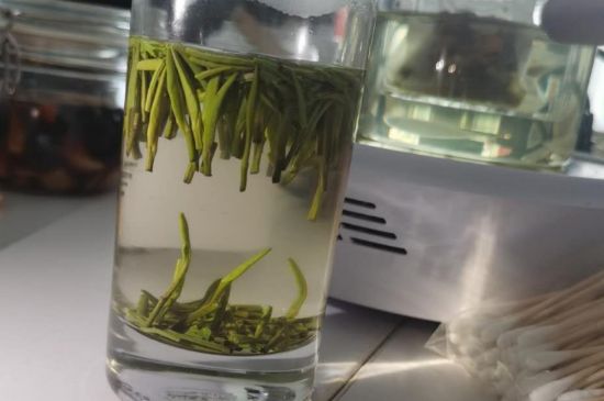 金壇雀舌算不算好茶，金壇雀舌屬于什么檔次茶葉？