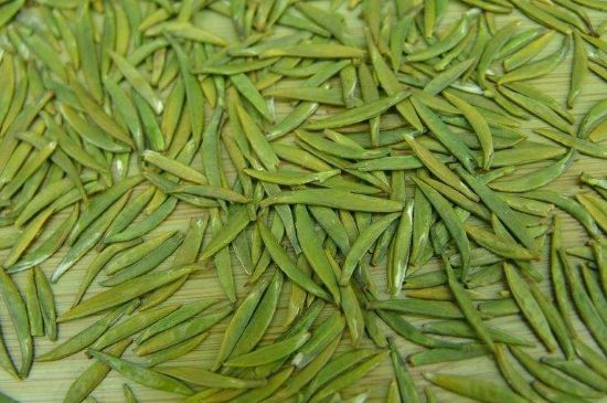 竹葉青和毛尖的區(qū)別，毛尖和竹葉青怎么分辨？