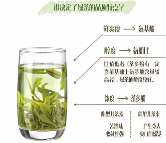什么綠茶口味重口感濃郁，口味比較重的綠茶都有那些？