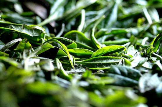 荒野銀針市場價(jià)多少，真正的荒野白毫銀針多少錢？