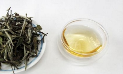 新工藝白茶