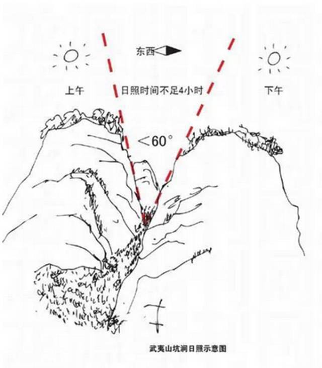 武夷山為什么盛產茶葉，武夷山茶為什么好喝？