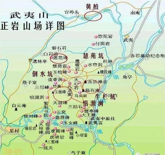 300塊錢的金駿眉能喝嗎，兩三百多金駿眉和一千多區別