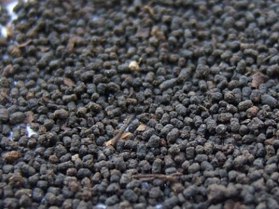 圓形顆粒狀茶是什么茶，像飼料一樣一粒粒的是什么茶？