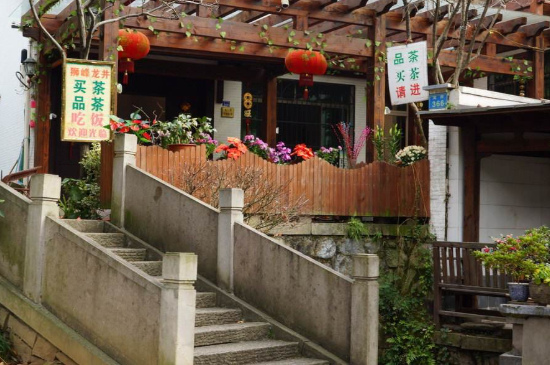 杭州龍井村買茶騙術，西湖龍井茶托騙局揭秘！