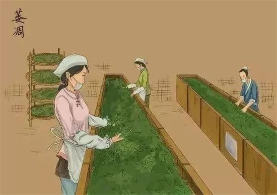 制茶八步驟，制茶工藝流程圖