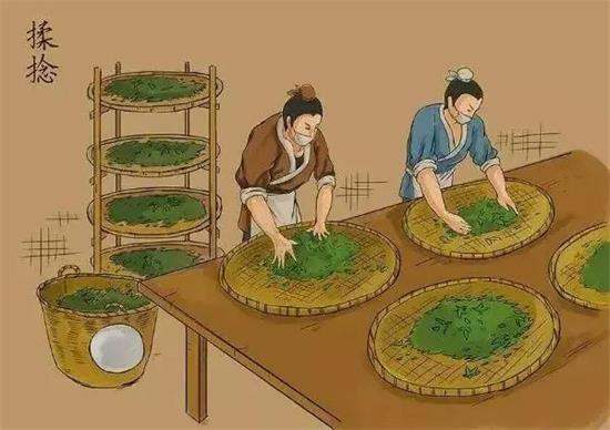 制茶八步驟，制茶工藝流程圖