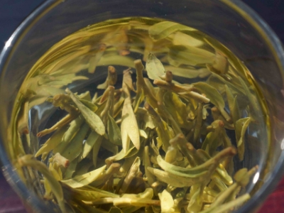 安吉白茶的功效與作用，簡單概括安吉白茶功效