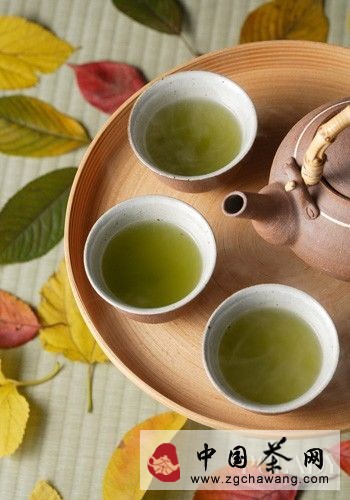 推薦：常喝龍井茶可以健身治病