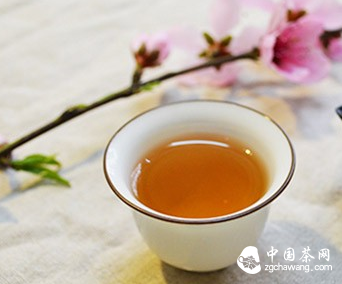 白茶的美，美在姿態