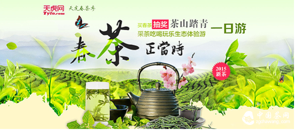 春季茶山踏青