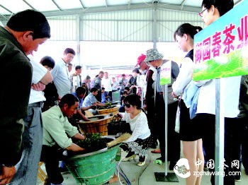 5月19日,在巨峰鎮(zhèn)薄家口鮮葉交易市場(chǎng),17家龍頭企業(yè)參加了炒茶大賽。