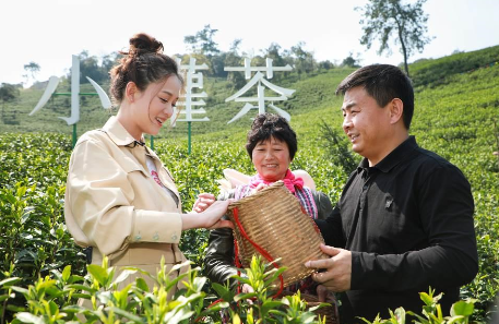 攜手陳喬恩、陳漫 小罐茶玩轉現代派春茶-焦點中國網