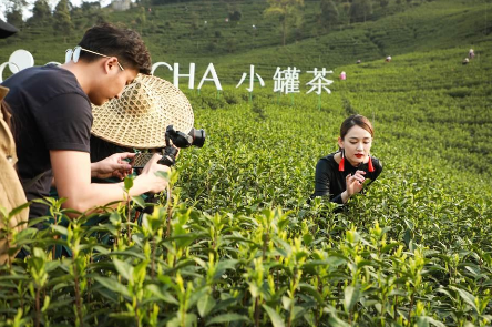 攜手陳喬恩、陳漫 小罐茶玩轉現代派春茶-焦點中國網