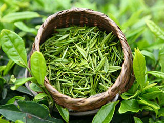 養生排毒茶，適合各類人群